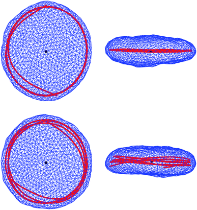 Snapshots as on Fig. 2 and 3, but for a polymer with persistence length ξ = 200R0, much larger then the lateral dimension of the vesicle. Upper and lower rows show, respectively, snapshots corresponding to the polymer without (as in Fig. 2 and 3) and with self-avoidance.