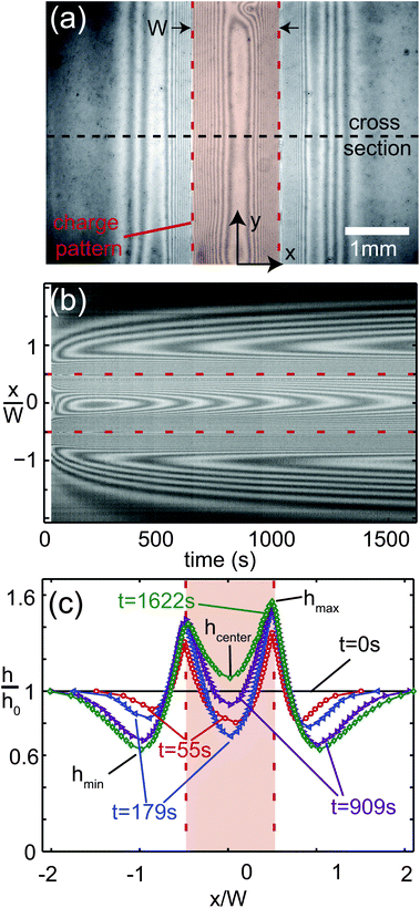 Deformation of a thin dielectric liquid film due to the static surface charge distribution plotted as a dashed line in Fig. 3(b). (a) Typical interference micrograph of a thin liquid film of thickness h0 = 4.1 μm, deformed due to the presence of a straight line of surface charge, recorded at t = 118 s after film preparation. (b) Time evolution of the cross-section indicated by the dashed black line in (a). (c) Extracted film thickness profiles at different times.