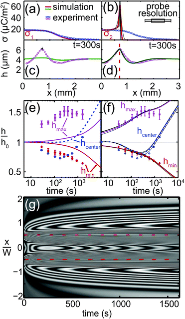Comparison of measured (symbols) and simulated liquid film height profiles at t = 300 s (c and d) for different surface charge distributions, sketched in (a) and (b). The solid lines in (a) and (b) represent the surface charge distributions used as an input to the simulations. The solid lines in (c) and (d) are the simulations results. (e and f) Normalized film thickness as a function of time. The squares refer to the maximum value at x = ±W/2; the diamonds refer to the valley at x ≈ ±W and the circles refer to the film thickness at position x = 0. The solid and dashed lines refer to the numerical simulations. (g) Numerical simulations of (b), (d) and (f), visualized as an interference pattern for direct comparison with Fig. 4(b).