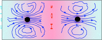 Cross-section of the flow field induced by two thermophilic colloids symmetrically fixed in neighbouring temperature gradients with opposite signs, and PBCs in the three dimensions.