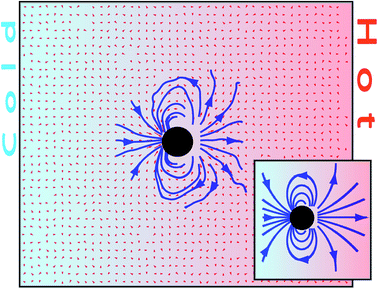 Cross-section of the velocity field around a freely drifting thermophilic colloidal sphere in a temperature gradient. The velocity field is obtained from the simulation shown in Fig. 4. The inset shows the theoretical result from eqn (4).