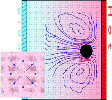 Cross-section of the flow field around a thermophilic particle fixed in a near-wall environment. The inset shows the velocity field in a plane parallel to the walls and between the colloid and the hot wall.