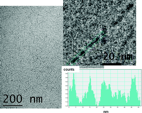 Cryo-TEM image from a 2 wt% solution of A12R2. The top inset shows an enlargement showing a helical twist with a pitch of (12 ± 2) nm and the bottom inset shows the corresponding intensity profile.
