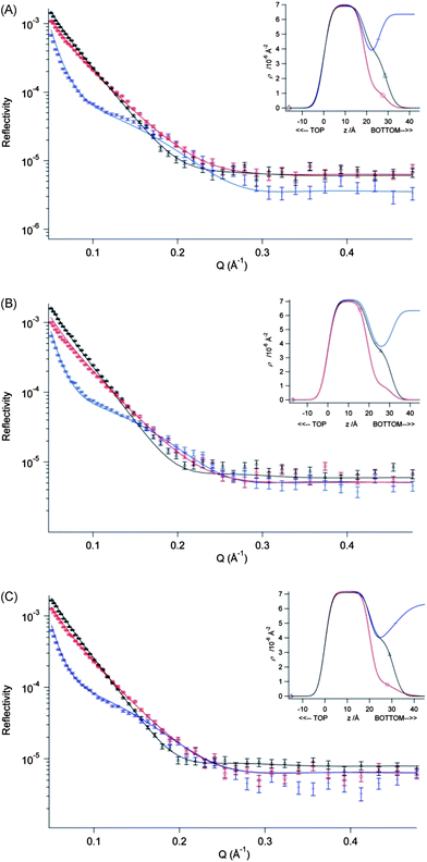 Fitted profiles for DSPC monolayers on a pure water sub-phase at 298 ± 2 K obtained from fitting a two-layer model to three NR contrasts of a DSPC monolayer, d70-DSPC on acmw (red), d83-DSPC on acmw (black) and d70-DSPC on D2O (blue). The surface pressures shown are (A) 20 mN m−1, (B) 30 mN m−1 and (C) 40 mN m−1. Inset to each figure shows the scattering length density profiles calculated from the fit to that data set as a function of the interface in the z-direction.