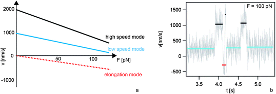 Velocity modes of single type IV pili. (a) Schematic relationship between the rate v of T4P length change and the force F applied to the T4P. (b) During a single T4P retraction event at 100 pN in N. gonorrhoeae the system switches between the high speed mode (black, 1000 nm s−1), the low speed mode (blue, 250 nm s−1), and elongation (red, −250 nm s−1).