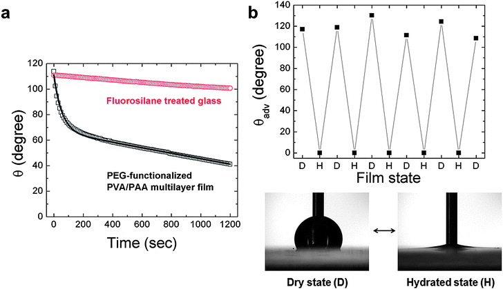 (a) Time dependence of water contact angles θ for the PEG-functionalized PVA/PAA multilayer film and fluorosilane-treated glass at room temperature (22 ± 1 °C). Open boxes, and circles represent individual data points averaged every 10 s while the bold line represents the model fit; (b) changes in advancing water contact angles θadv by alternating between dry and hydrated conditions for PEG-functionalized PVA/PAA multilayer film.
