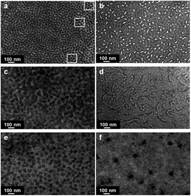 TEM micrographs of PVPh/SVPEO complexes. (a) 0/100, (b) 20/80, (c) 40/60, (d) 50/50, (e) 60/40, and (f) 80/20 PVPh/SVPEO.