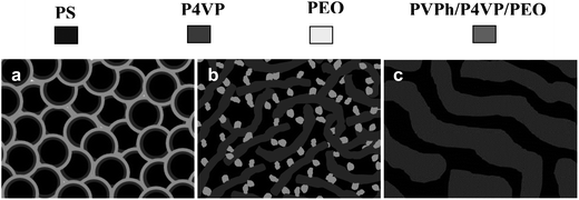 Schematic representation of phase morphologies in PVPh/SVPEO complexes: (a) cylindrical morphology of the SVPEO triblock copolymer, (b) twisted lamellae at 20 wt% PVPh concentration, and (c) bicontinuous phase at 40 wt% PVPh concentration.