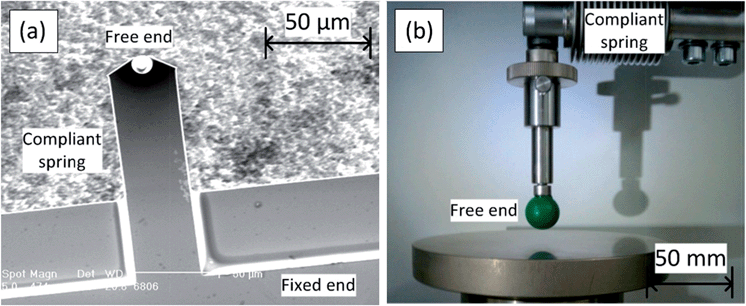 Examples of indentation equipment: (a) AFM cantilever with colloid probe; (b) mechanical tester with spherical indenter.