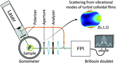 Scheme of BLS instrumentation. A single-mode laser (532 nm) illuminates the turbid film and multiply scattered light is analyzed by a FP interferometer. The observed frequency shift represents the contribution of modes, e.g. f(s,1,2), to the q-independent vibrational spectrum.