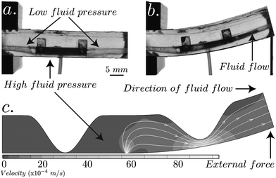 (a) A microfluidic device with two flexible arches in series is clamped at one end and a line load applied to the opposite end. (b) The localized deformation causes the arch closest to the applied load to deform and allow fluid to flow towards the region of high stress. (c) A numerical simulation of the multichannel arch illustrates the directed fluid flow.