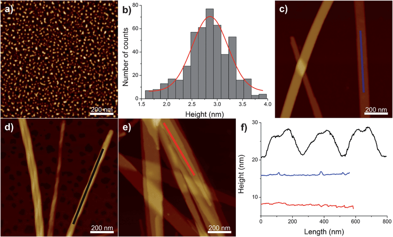 (a) AFM image of 1 wt% C16-KTTKS at pH 2. (b) The height distribution for spherical micelles extracted from the AFM images of 1 wt% C16-KTTKS at pH 2. AFM images of 1 wt% C16-KTTKS at: (c) native pH 3, (d) pH 4 and (e) pH 7. (f) The longitudinal height profiles of the structures observed for 1 wt% C16-KTTKS at native pH 3 (blue curve), at pH 4 (black curve) and at pH 7 (red curve). Z scale for the AFM images is 6 nm for (a) and 60 nm for (c–e).