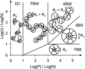 Phase diagram for comb homopolymer according to Gay and Raphaël30 and adapted by Flatt et al.31 The different domains are the following: decorated chains (DC), flexible backbone worm (FBW), stretched backbone worm (SBW), stretched backbone star (SBS) and flexible backbone star (FBS). Rc is the core size and Rp is the side chain size.
