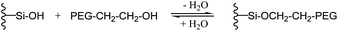 Reversible condensation reaction of terminal hydroxy-groups of PEG–OH with silanol residues on a silica surface.