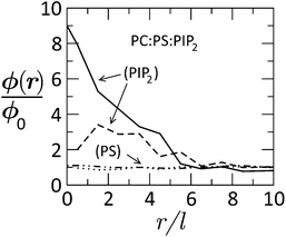 Radial distribution of tetravalent (PIP2) and monovalent (PS) lipids in a membrane of lipid composition PC : PS : PIP2 = 89 : 10 : 1, as a function of the distance from the (membrane-projected) center of the basic effector domain (ED). ϕ(r)/ϕo is the ratio between the local and bulk populations of the corresponding lipid. The dashed curve describes the distribution of PIP2 after phosphorylation of ED, whereby its charge is reduced from +13 to +7. The dashed-dotted and dotted curves describe the distribution of PS before and after phosphorylation, respectively. While PIP2 is highly enriched in the adsorption zone, PS is hardly affected. Adapted from Tzlil et al.142 Copyright (2008), with permission from the Biophysical Society.
