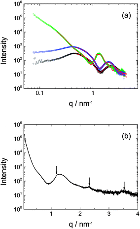 SAXS data for 1 wt% solutions of the three lipopeptides (a) comparison of data with model fits (red lines) as described in the text. Green triangles: mycosubtilin, blue squares: plipastatin, black circles: surfactin, (b) data for mycosubtilin (linear q scale) showing three orders of Bragg reflection from a bilayer structure.