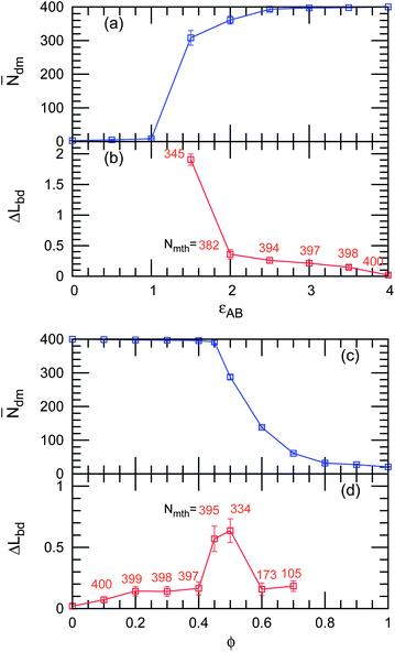 Domain shape changes and domain separation as (a,b) εAB decreases at ϕ = 0 and (c and d) ϕ increases at εAB = 4. (a and c) The average cluster size N̄dm of the mother (largest) domains and (b and d) the reduced excess domain length ΔLbd of the mother domains. The mean number Nmth of the membrane particles in the mother domains at each stage is shown in light red color.