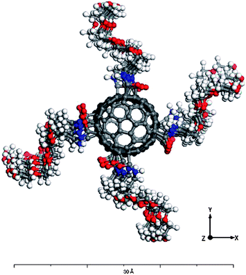 A top view of the generated structure for a (10, 0) end-capped f-SWCNT. The PEG chains were spaced equally along the CNT circumference.