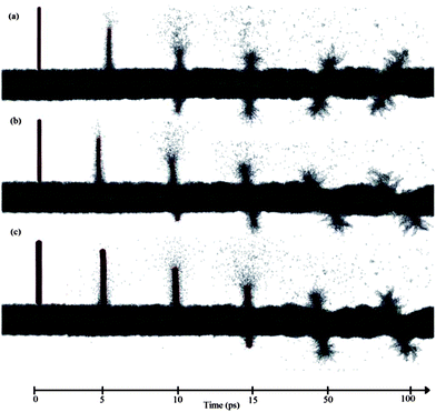 Trajectories of different SWCNTs at selected MD time instances. The snapshots reveal the penetration into the lipid membrane by (a) (5, 5), (b) (10, 0) and (c) (10, 10) SWCNTs.