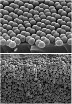 
            Dicolloid particles of polystyrene latex with lobe diameter 267 ± 5 nm and aspect ratio α = 1.58. When concentrated in the bulk, these particles form random packings. Adapted with permission from D. Forster et al.71 Copyright 2011 American Chemical Society.
          