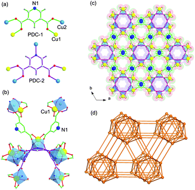 Single crystal structure of UTSA-50 indicating (a) PDCs showing two different coordination modes; (b) one paddle-wheel dinuclear Cu2 unit linking with eight Cu2 units through two PDC-1 ligands and three PDC-2 ligands; and Cu1 with open metal sites; (c) two types of pores: a large pore walled by a PDC-1 ligand of about 4 × 4 Å2 and a small pore walled by PDC-2 of about 3.6 × 3.6 Å2 (Cu1, yellow; Cu2, light blue; N, blue; O, red; C, gray; H, white); and (d) a 3D topology with Schläfli symbol {384105862}.