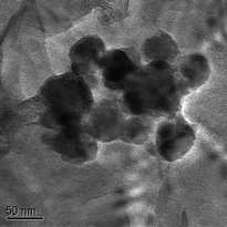 Hematite nanoparticles found in alkaline soils. Reprinted from ref. 85, Copyright (2007), with permission from Elsevier.