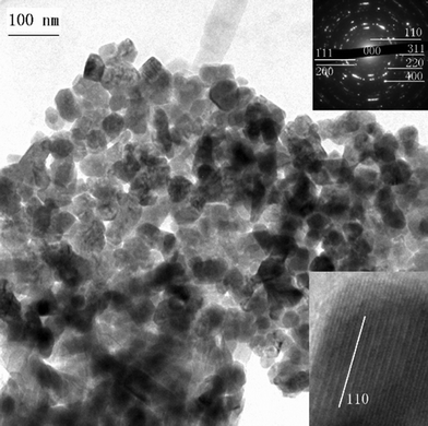 Maghemite nanoparticles showing elongated cuboctahedral morphologies from the Loess. Reprinted from ref. 21, Copyright (2012), with permission from Pan Stanford Publishing.