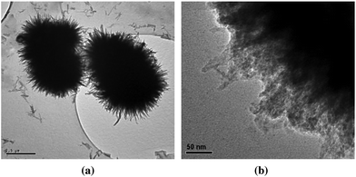 Typical morphology of schwertmannite aggregates (a) and nanoparticles consisting of the whiskers (b). Reprinted from ref. 28, Copyright (2005), with permission from Elsevier.