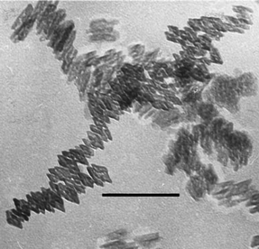 The diamond-like cross sections of goethite nanoparticles. The bar is 50 nm. Reprinted from ref. 66, Copyright (1999), with permission from Elsevier.