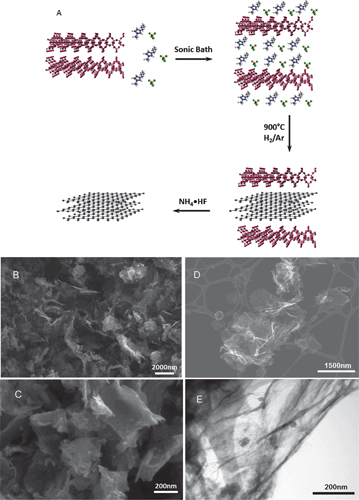 General mechanism for the Magadiite-templated synthesis of graphene-type nanosheets showing the exfoliation of Magadiite by the metal halide-ionic liquids, carbonization of the confined metal halide-ILs, and final nanosheets after metal silicate dissolution (A). SEM images of C/Fe-IL (B) and C/Ni-IL (C) materials. Micrometer-size particles with platelet morphology formed by the stacking of graphene layers are seen. STEM images of dispersed graphene-type carbon C/Mn-IL under SE (D) mode and TE mode (E), respectively. Residual nanoparticles characterized by powder XRD as NH4MnF3 formed during the Magadiite template etching.