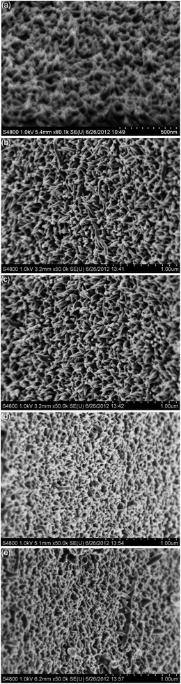 Tilted views of FESEM images of PANI films obtained from (a) 2 mM, (b) 6 mM, (c) 11 mM, (d) 50 mM, and (e) 200 mM aniline with a growth time of 24 h.