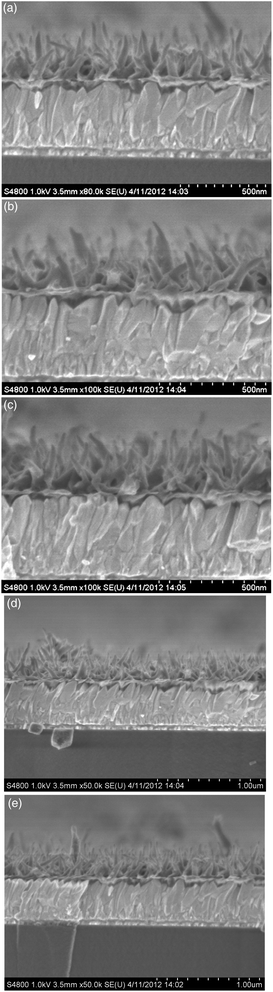 Cross-sectional views of FESEM images of PANI films obtained from 11 mM aniline after (a) 3 h, (b) 8 h, (c) 14, (d) 18 h, and (e) 24 h.