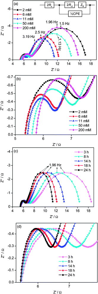 Electrochemical impedance spectra of dummy cells based on PANI films obtained from (a and b) different initial concentrations with growth time of 24 h, and (c and d) different growth times at 11 mM initial concentration of aniline. The inset in (a) is the equivalent circuit diagram for fitting the electrochemical impedance spectra. The Nyquist plots of the electrochemical impedance spectra were measured from 1 MHz to 0.1 Hz.