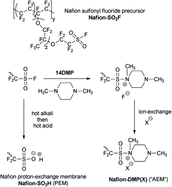 The proposed reaction of Nafion® sulfonyl precursor [Nafion–SO2F] with 1,4-dimethylpiperazine [14DMP] to form an AEM in X− anion form [Nafion–DMP(X)]. Also shown is the process to generate the standard PEM form of Nafion® [Nafion–SO3H]. X = anion being studied.