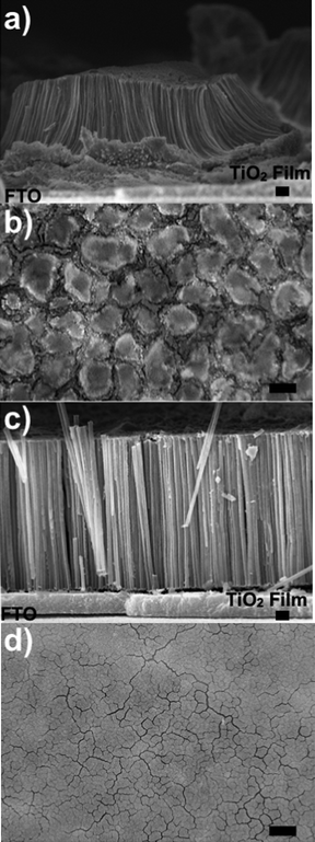 (a), and (c) SE images of cross-sectional views and (b), and (d) optical images of plan views of a SWTNT array (in (a) and (b)) and a MWTNT array (in (c) and (d)) bound to FTO-bearing substrates. Scale bars for SE and optical images correspond to 1 μm and 25 μm, respectively.