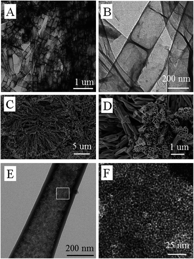 TEM (A and B) and SEM (C and D) images of micro/mesoporous nitrogen doped carbon nanotubes prepared by carbonization of PCMVImTf2N at 800 °C by using AAO as a template. (E and F) TEM images of micro/mesoporous nitrogen doped carbon nanotubes loaded with Fe2O3 nanoparticles.