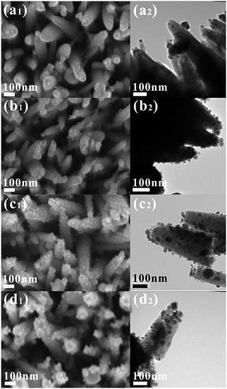 Morphology (left: field-emission scanning electron microscope (FESEM), middle and right: transmission electron microscope (TEM)) of Ag nanoparticle-decorated ZnO NRs after annealing from an AgNO3 concentration of (a1 and a2) 0.005, (b1 and b2) 0.01, (c1 and c2) 0.05 and (d1 and d2) 0.1 M.