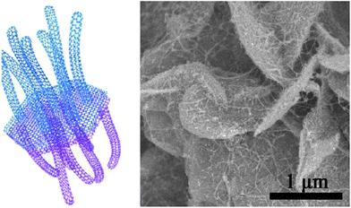 (Left) illustration of the graphene–SWCNT hybrid as a sulfur host and (right) SEM image of the hybrid-sulfur composite.65 Reproduced from ref. 65. Copyright 2012 American Chemical Society.