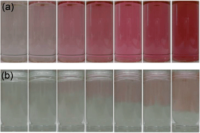 A series of images of the same solution taken at time intervals of 0, 10, 20, 30, 40, 50 and 60 minutes reaction time (from left to right) in the self-initiated gold nanoparticle formation reaction of auric acid solution with cyclohexanone that was (a) shaken into the solution or (b) layered gently on top of the aqueous layer.