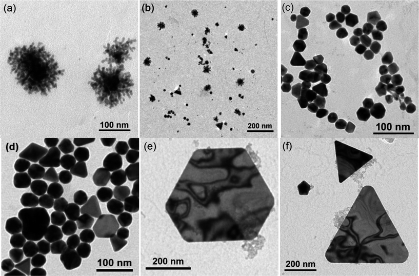 Transmission electron microscopy images of solution aliquots taken from the self-initiated gold nanoparticle formation reaction of auric acid solution and cyclohexanone after (a and b) 5 minutes, (c) 20 minutes and (d) 65 minutes of reaction. After 3 months storage larger (e) hexagonal and (f) triangular nanoplate structures were also present.