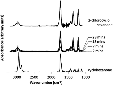 IR spectra of the gas phase above the solution taken during the reaction of auric acid (0.28 mM) with cyclohexanone (0.48 M). Gas phase measurements of 2-chlorocyclohexanone and cyclohexanone are shown for reference.