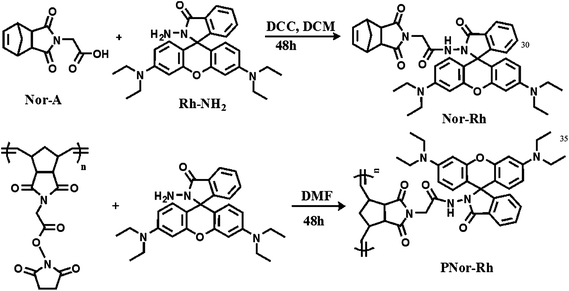 Synthesis of Nor-Rh and its polymer PNor-Rh.