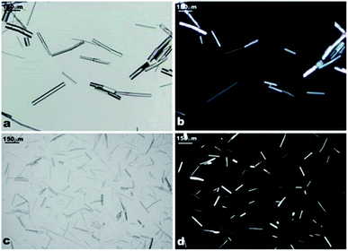 (a) and (c) Optical microscope images of α-CD–tetradecane IC microrods; (b) and (d) optical images of the same samples in cross-polarised light.