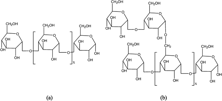 Structure of starch polymers (a) amylose and (b) amylopectin.