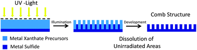 Schematic illustration of the photolithographic process for the preparation of metal sulfide comb structures from metal xanthates.