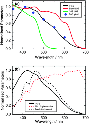 (a) Light harvesting efficiencies of CdS (green line) and 50 vol% CdS:P3HT blend (red line). IPCE of 50 vol% CdS device (black line) and TAS change in optical density averaged over 0.9 μs to 1.1 μs of 50 vol% CdS:P3HT film (blue squares). (b) Estimated IPCE contribution for CdS and P3HT (black line) and expected contribution to the current under light exposure (black dotted line) based on AM 1.5 solar spectrum (red dotted line).