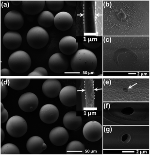 (a) The overview of the original GBs in 63–90 μm after water deposition; (b) and (c) the defects in the shell; (d) the etched GBs in 63–90 μm after water deposition; (e)–(g) the through-holes etched in the shell. The insets in (a) and (d) show the cross-sectional thickness of the original and etched GB, respectively.