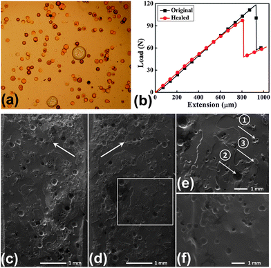 (a) Optical microscopic images showing the dispersion of the loaded GBs (small spheres) embedded in the epoxy together with epoxy filled microcapsules (large spheres) after room temperature curing for 4 h; (b) the fracture load-displacement curves for a sample before and after healing using the TDCB specimen; (c) and (d) a mirrored region of the fracture surfaces after healing at 50 °C for 24 h; (e) the enlarged frame in (d) showing a fractured GB (arrow 1), a fractured microcapsule (arrow 2), and the newly formed thin film (arrow 3) by the released healing agents; (f) the fracture surface of the control specimen incorporated with epoxy filled microcapsules only.