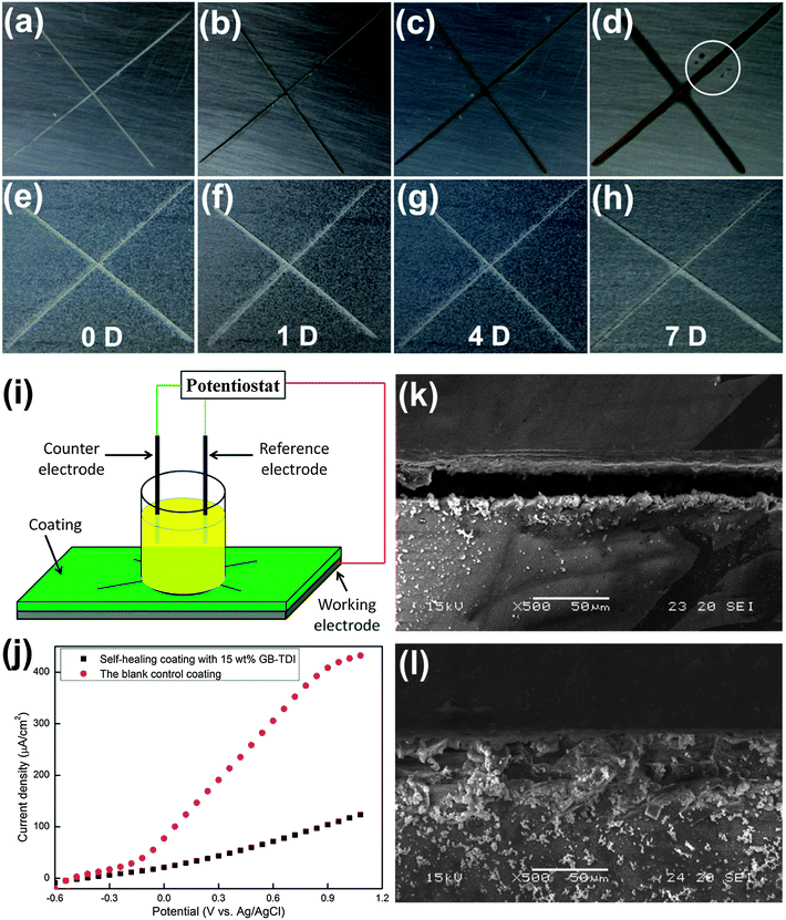 The self-healing behavior of the coatings containing 15 wt% TDI loaded GBs. (a)–(d) The digital images for the corrosion performance of the control coating immediately after scratching (0 D) and after immersion in 1 M NaCl solution for 1, 4, and 7 days, the white circle in (d) indicates the etching pits; (e)–(h) the digital images for the corrosion performance of the self-healing coating right after scratching (0 D) and after immersion in 1 M NaCl solution for 1, 4, and 7 days; (i) the schematic setup for the electrochemical test; (j) the polarization resistance curves for the control and self-healing coating. The SEM images for the scratched area of the control coating (k) and the self-healing coating (l).