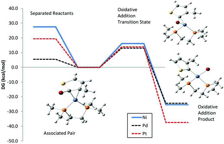 Calculated free energy surface for the associated pair between M(dmpe) and a 2-bromo-3-methylthiophene model for the growing chain to undergo dissociation (left) or oxidative addition (right). Calculated geometries for M = Ni are shown for each species.